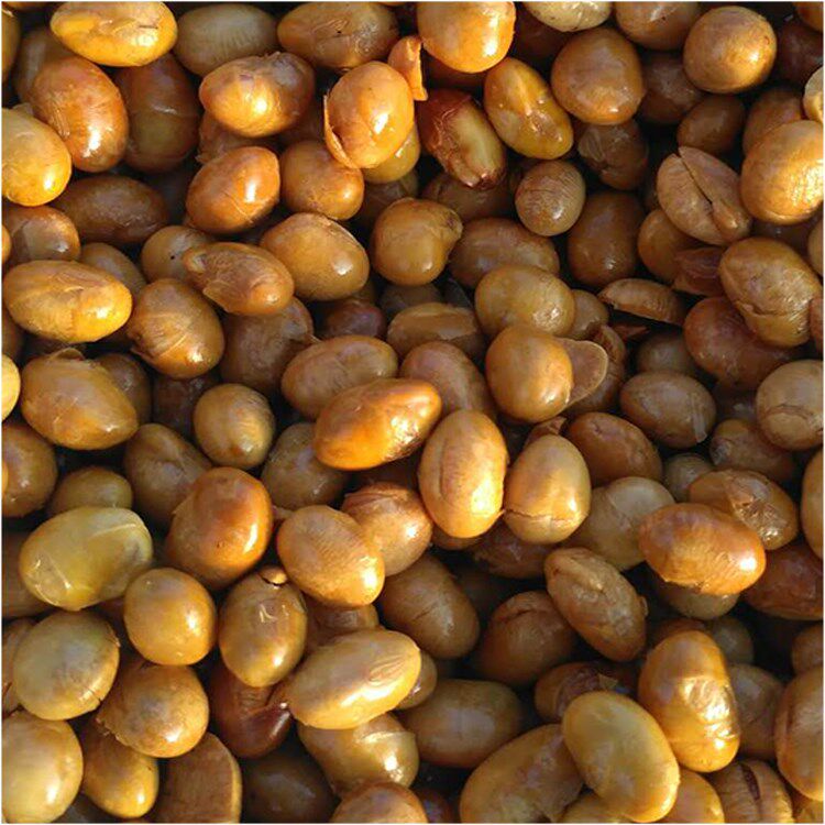 贵州特产油炸黄豆炒豆吃粉面条佐料 画迈黄豆