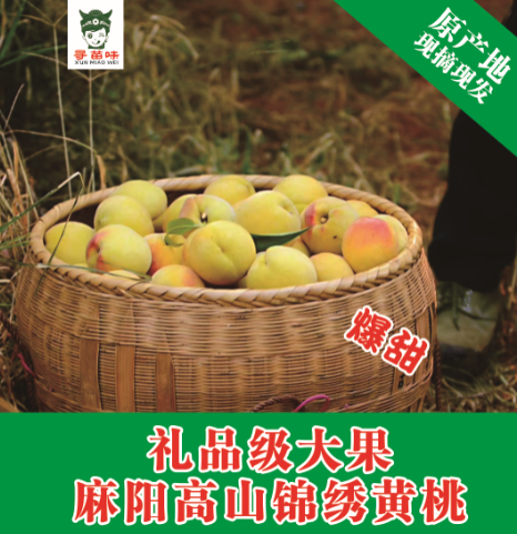 精选湖南麻阳高山锦绣黄桃新鲜桃子 画迈桃