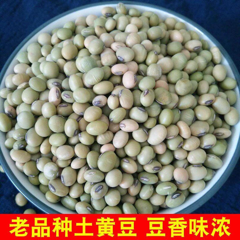 5斤装广西绿皮土黄豆农户生打豆浆 画迈黄豆