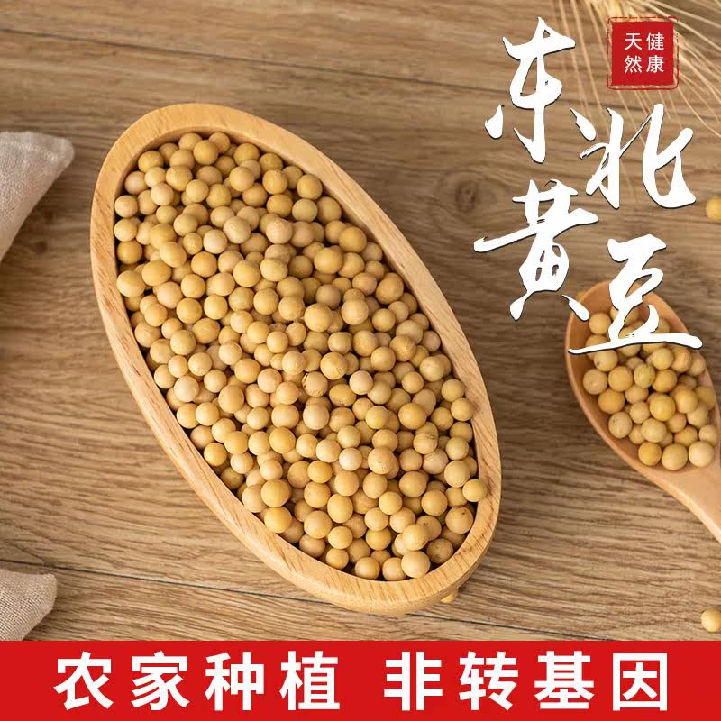 东北非转基因黄豆可打豆浆生芽豆 画迈黄豆