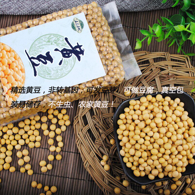 东北新黄豆非转基因大豆5斤发包装 画迈黄豆