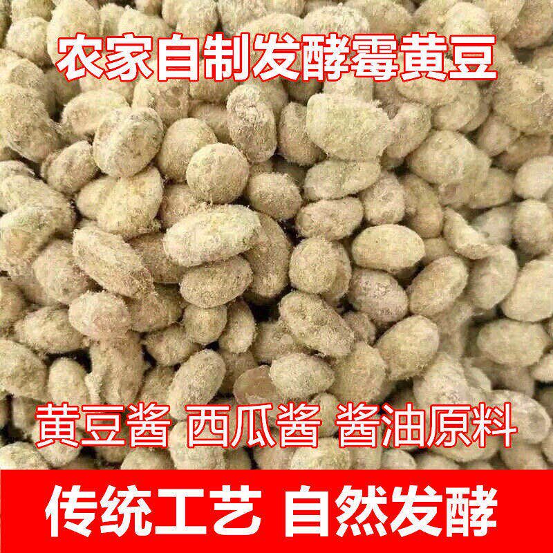 自制霉农家黄豆西瓜酱霉豆瓣大豆 画迈黄豆