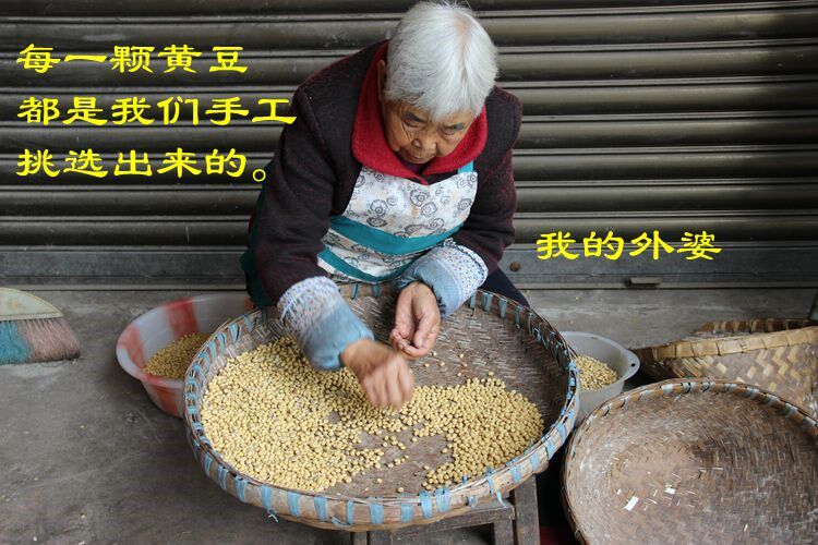 四川雅安农家自种老农药品种黄豆 画迈黄豆