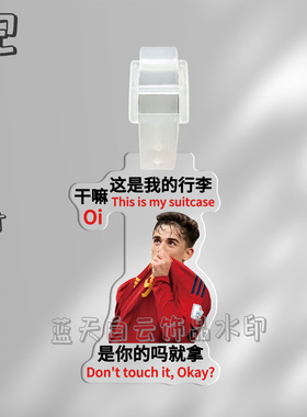 加维明星亚克力行李箱牌