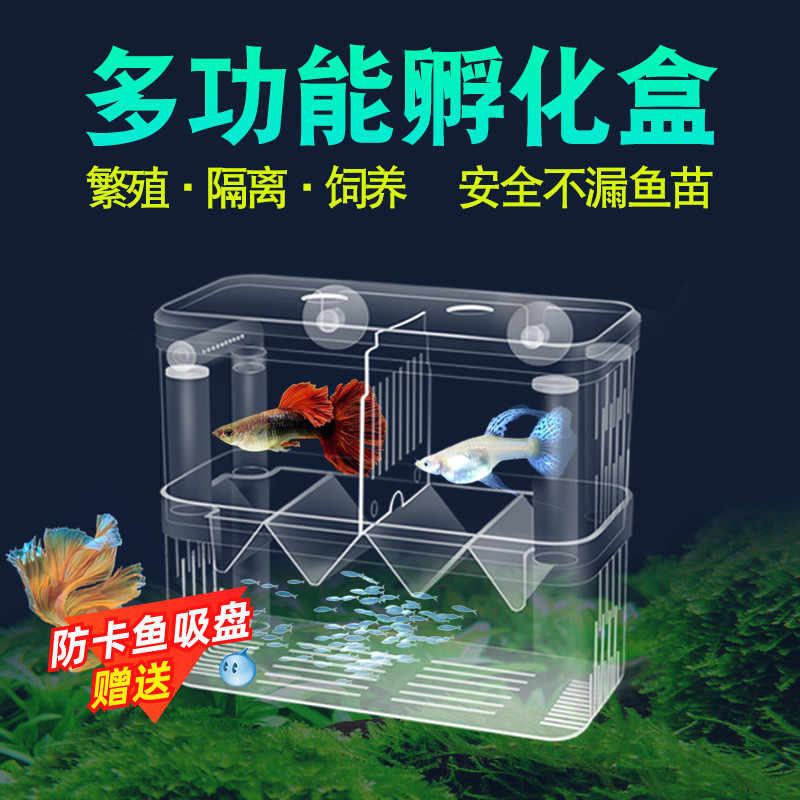 鱼卵孵化 新人首单立减十元 22年5月 淘宝海外