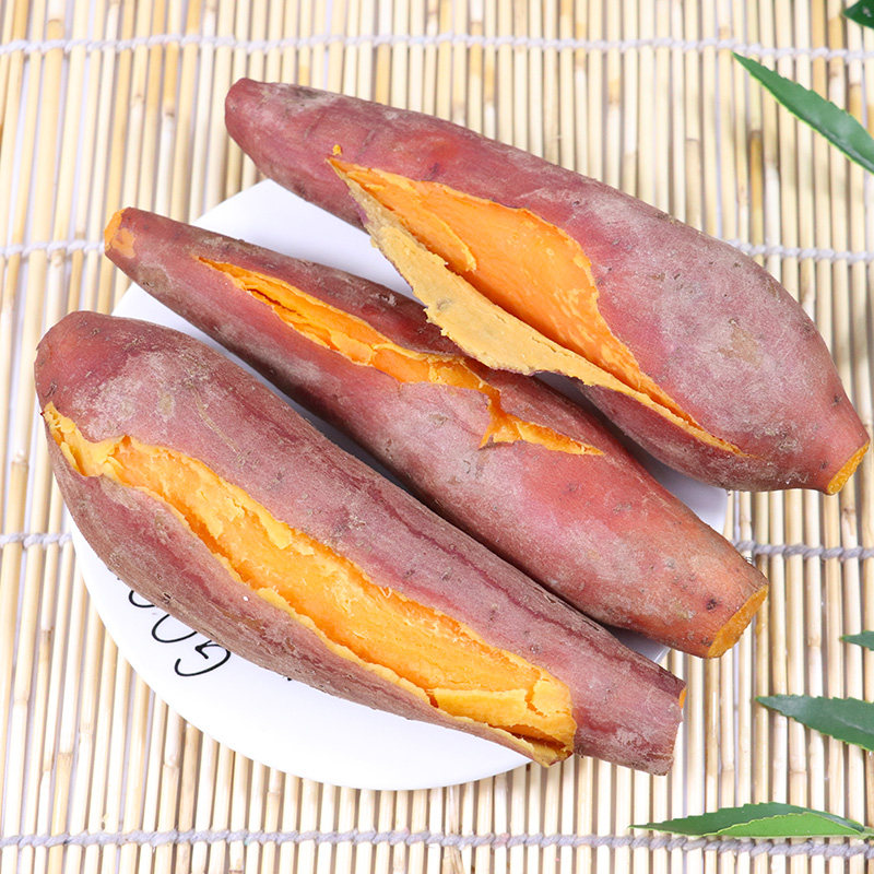 新鲜板栗薯农家自种番薯10斤小山芋 橙哥镖局番薯