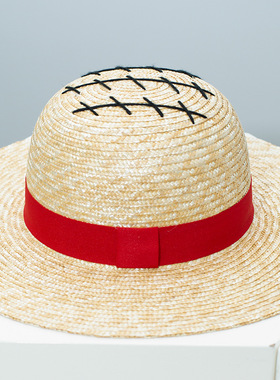 One Piece Luffy Straw Hat Cosplay Manga Exhibition Performa
