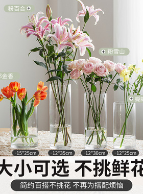 网红玻璃花瓶马醉木通透北欧