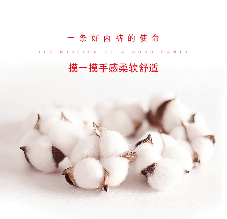 富贵鸟4条礼盒装男士内裤抗菌本命年大红色纯棉四角短裤结婚裤头,淘宝优惠券,粉丝福利购,淘宝优惠卷