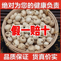 Authentic Tibetan wild Tibetan fritillary special class First class natural fritillary Sichuan Qingping fritillary without sulphur primary fritillary