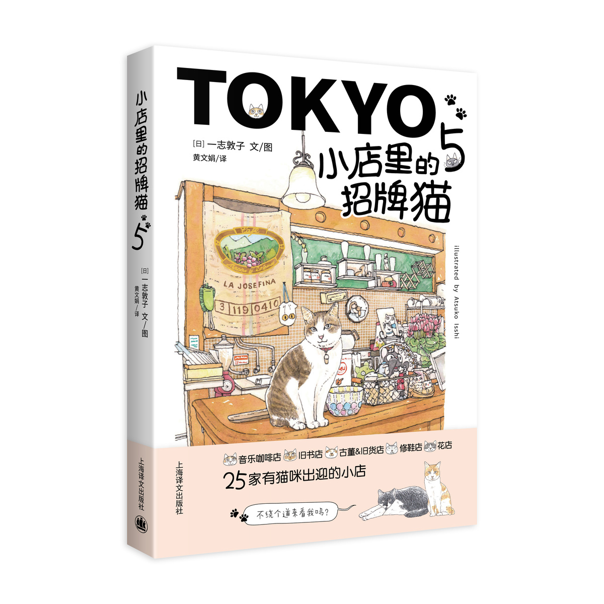 小店里的招牌猫5 一志敦子作品  [日] 一志敦子 文/图  黄文娟 译 只要有猫在这里就是一个幸福的空间 上海译文出版社 正版 - 图0