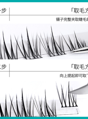 anjicat皇冠仙子睫毛单眼皮睫毛