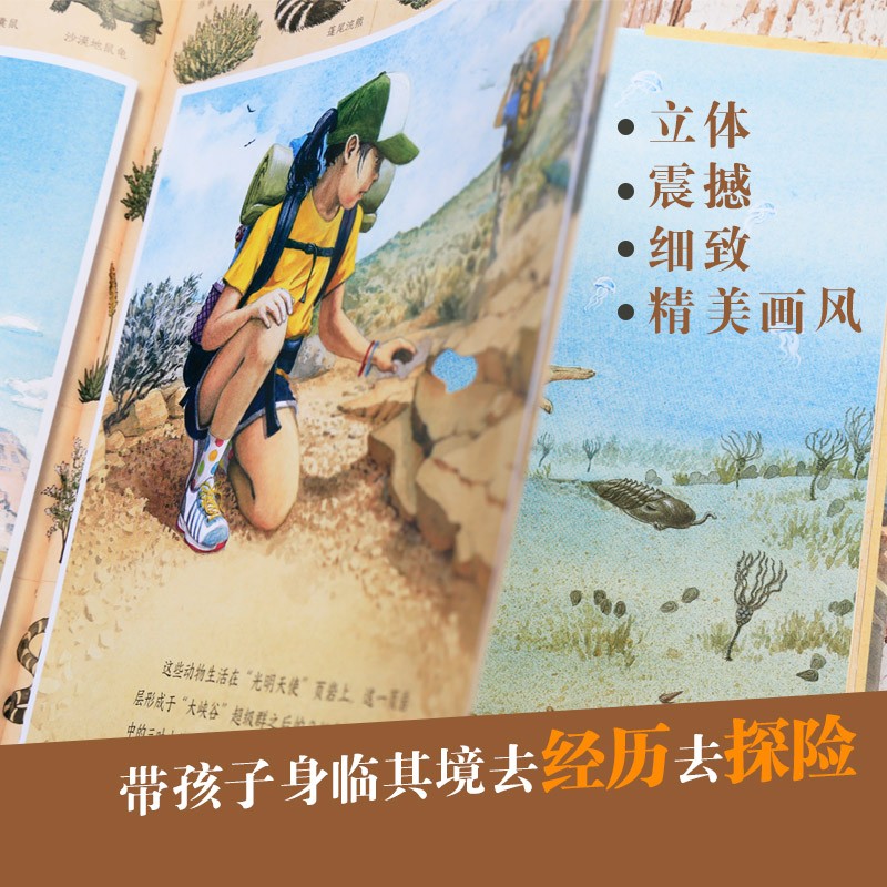 【点读版】凯迪克绘本奖自然探秘之旅全5册五部曲精装硬壳科普绘本一座岛的600万年大峡谷万有引力穿越侏罗纪原始森林寒武纪珊瑚礁