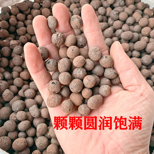 空心花卉垫底陶粒养花用防烂根透气花盆垫底铺面石多肉铺面土陶粒 - 图0