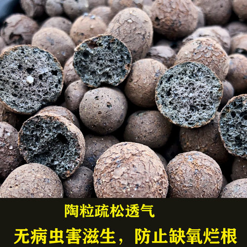 空心花卉垫底陶粒养花用防烂根透气花盆垫底铺面石多肉铺面土陶粒 - 图1