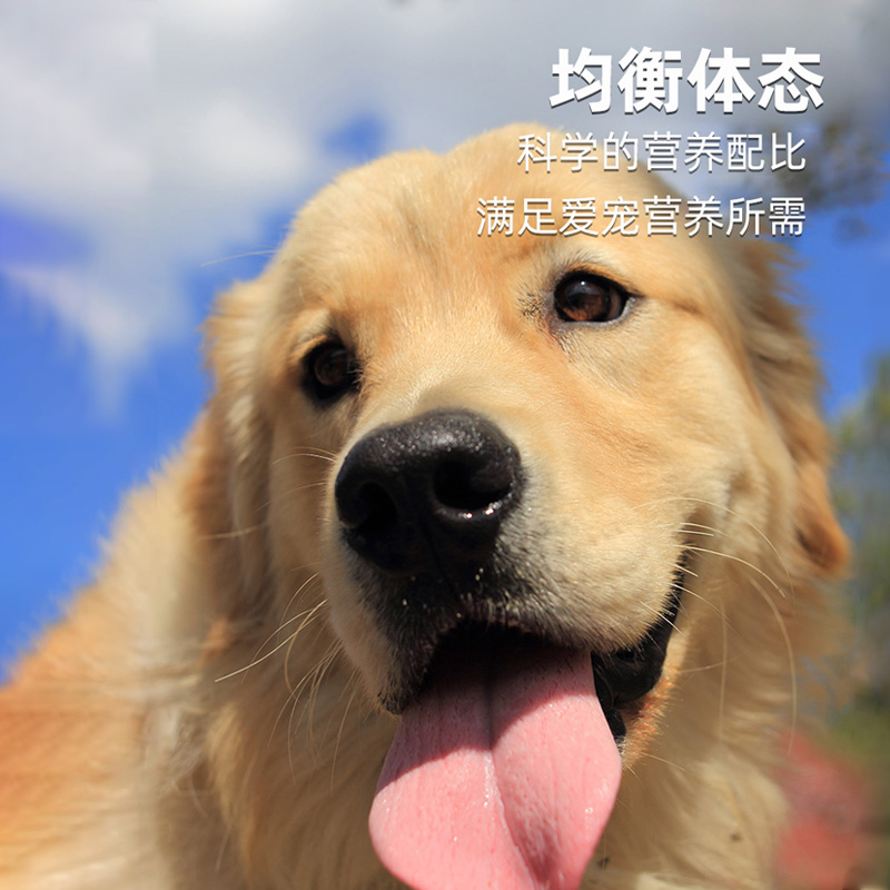 伊萨游猎民族狗粮20kg40斤装金毛成犬专用边牧哈士奇萨摩耶通用型-图1