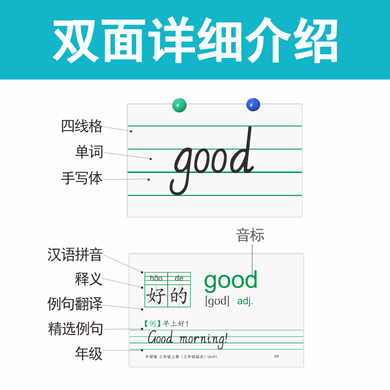 A4外研版单词卡老师教具卡片小学生外研三年级起点同步英语单词卡片a5加厚课堂教学三四五六年级上下册英文卡