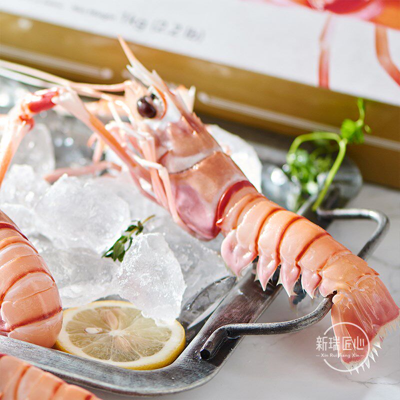 现货新西兰鳌虾scampi斯干比刺身 食锦恋冻虾