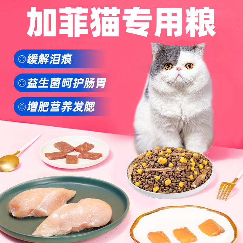 加菲猫专用猫粮成猫增肥发腮营养防掉毛全价益生菌幼猫肠胃猫主粮 - 图0