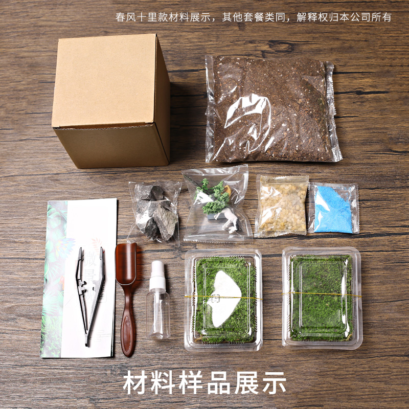 大号水滴苔藓植物盆栽微景观生态瓶 室内桌面趣味微型创意DIY绿植 - 图0