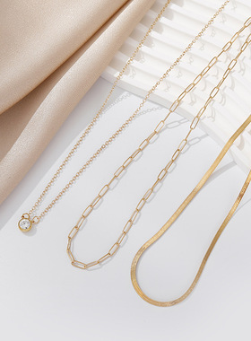 Fashion Thick Chain Snake Bone Chain Collar Chain Necklace链