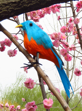 仿真羽毛彩色小鸟家居装饰摆件