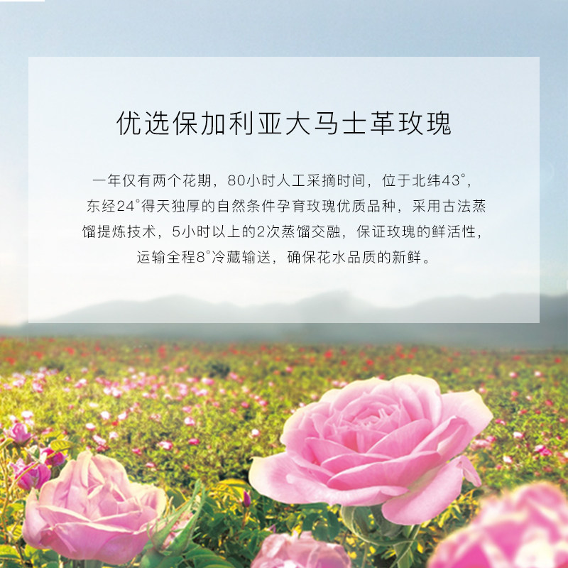 谜娇保加利亚玫瑰花水男女面膜 谜娇贴片面膜