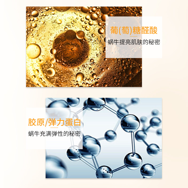  kotte高倩面部护理套装