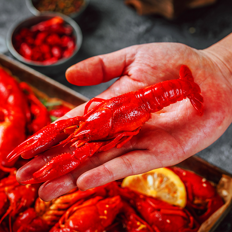 秋至尊旗舰店第2份仅19.9  麻辣小龙虾熟食蒜蓉即食十三香鲜活香辣味盒装1000G0