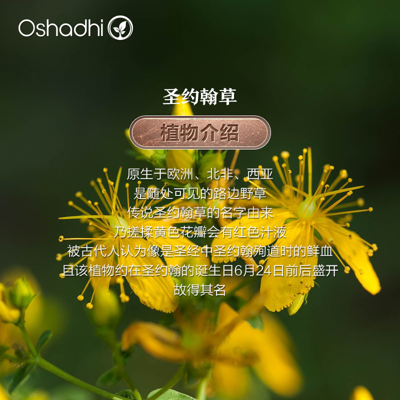 oshadhi德国O家圣约翰草浸泡油基础油精华油缓解晒伤缓解焦虑,淘宝优惠券,粉丝福利购,淘宝优惠卷