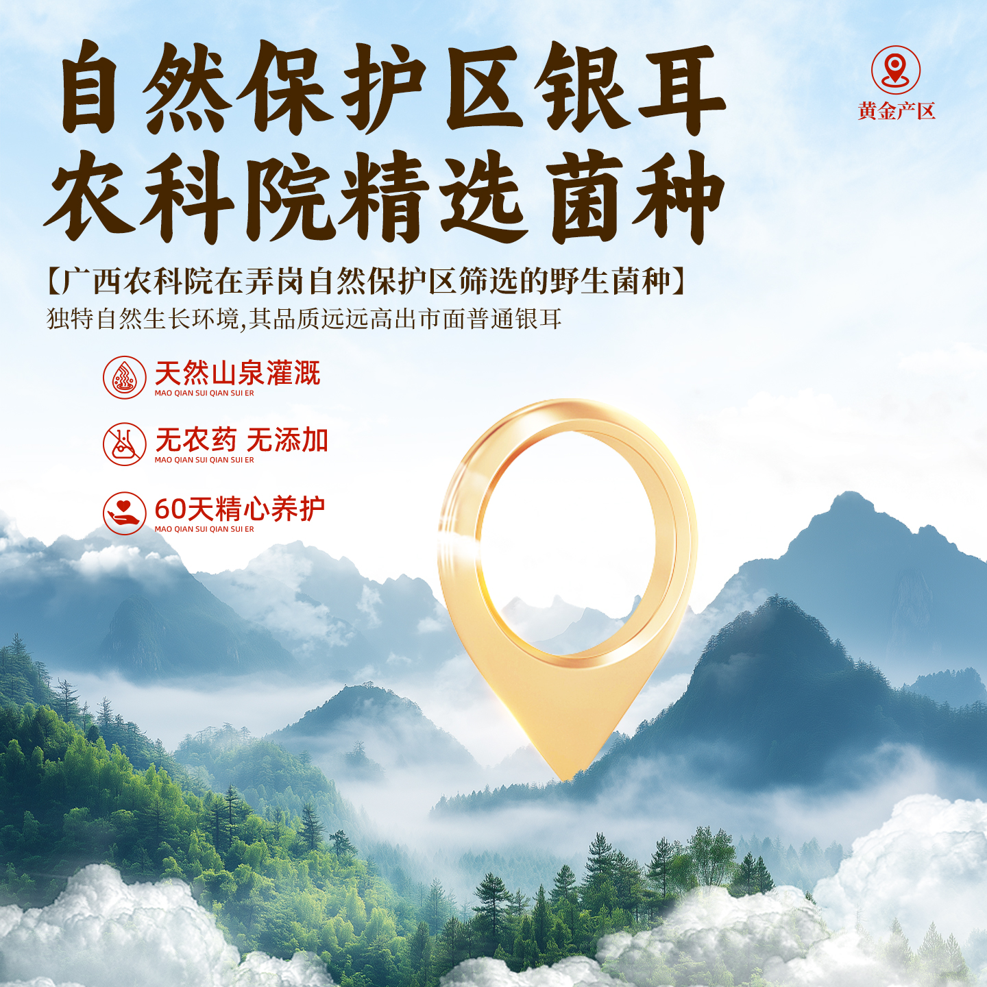 猫千岁草本有机银耳干货官方旗舰店野生冲泡即食非古田银耳羹伴侣