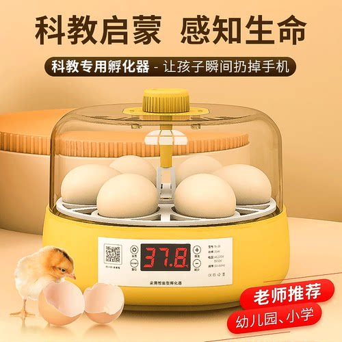 孵蛋器芦丁鸡小鸡孵化器小型家用智能孵化机水床鹦鹉全自动孵化箱 - 图0