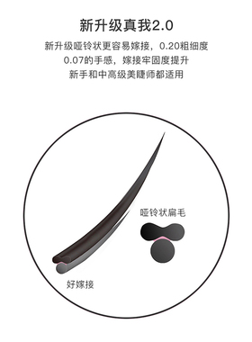 迪漾真我系列0.20日式扁毛星空灰 翘睫一秒成型少女系睫毛速成
