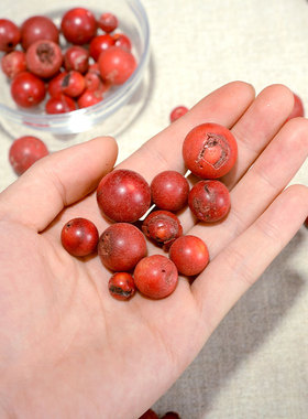 闯隆合成珊瑚石50g/两装赞用宝石