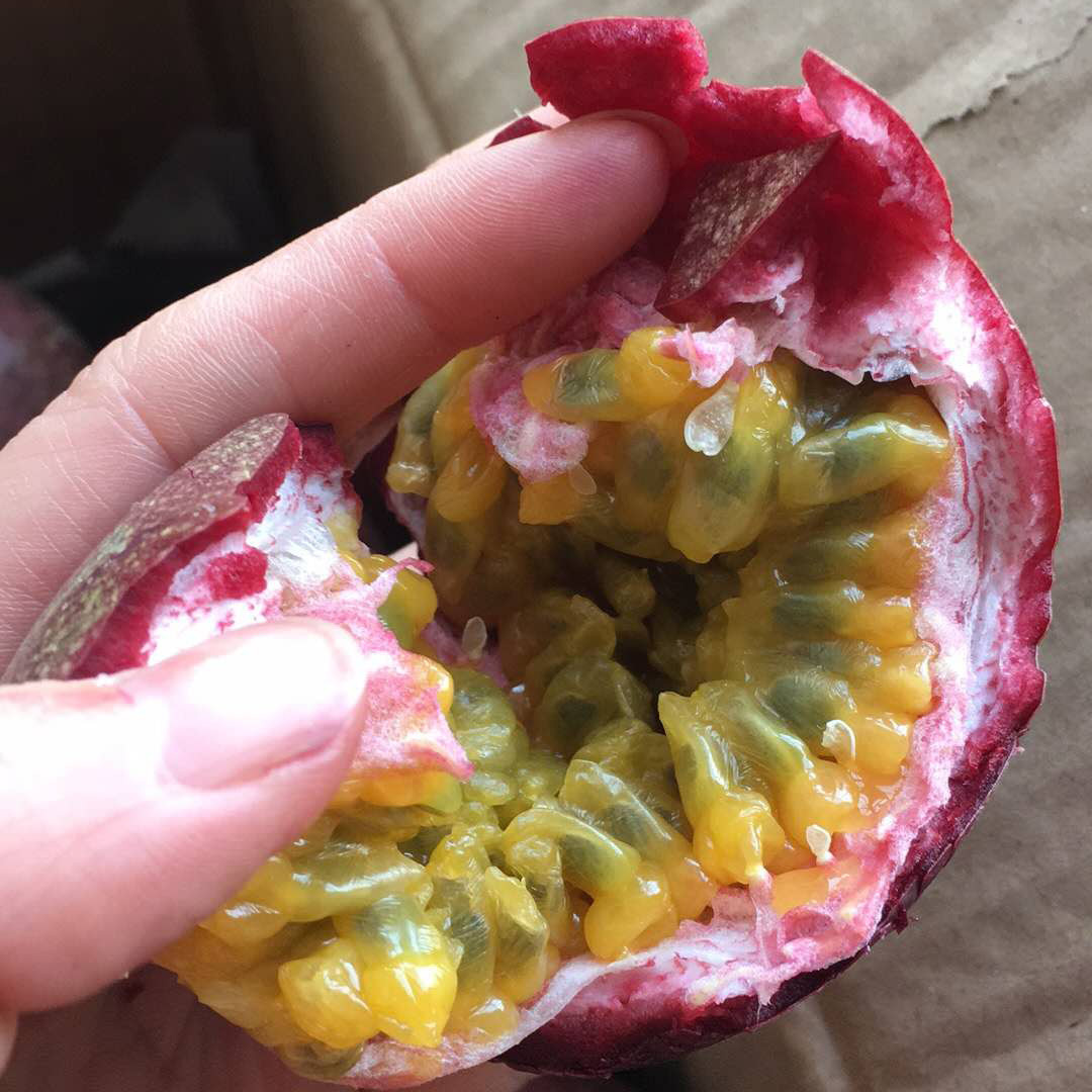 果倍棒旗舰店【果倍棒】云南傣蜜百香果5斤新鲜西番莲 非越南广西黄金百香果0