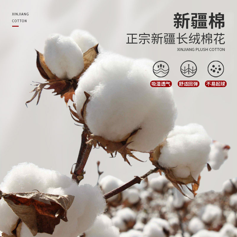 新疆棉花枕头护颈椎助睡眠枕芯结婚一对全棉学生家用儿童纯棉专用,淘宝优惠券,粉丝福利购,淘宝优惠卷