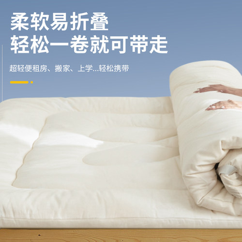棉淑床垫子学生宿舍单人租房专用软垫家用卧室褥子打地铺地上睡觉 - 图2
