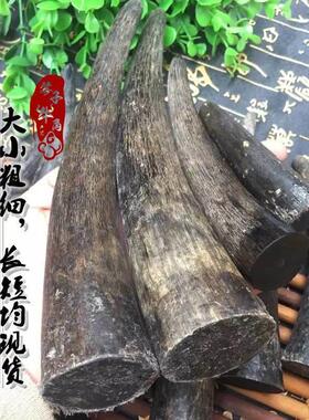 天然纯实心西藏黑牦牛角尖原料牛角刀柄材料三通佛头原料手把件料