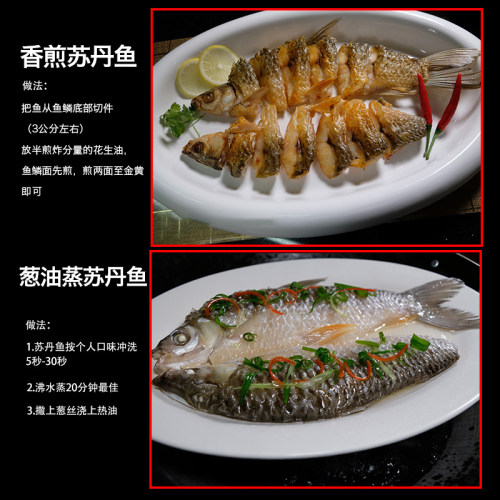 海鲜中国大陆盛三鲜盐鲜忘不了苏丹鱼冷冻新鲜香煎蒸鲜嫩顺丰包邮 - 图2