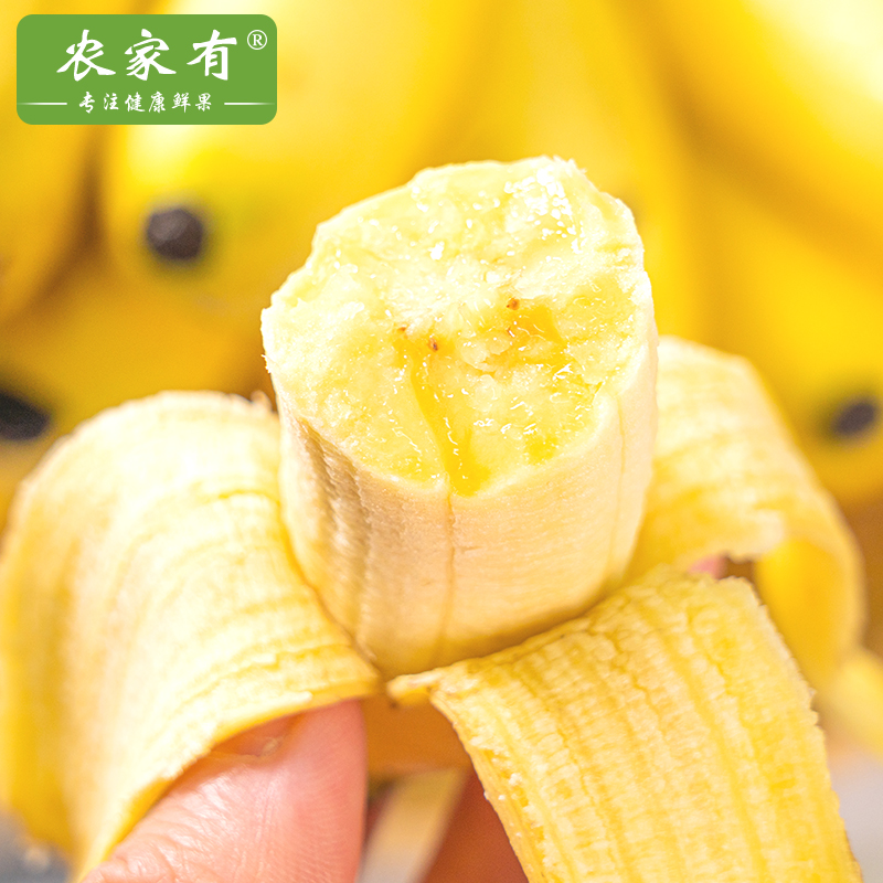 广西小米蕉当季新鲜水果9斤包邮整箱自然熟banana现摘苹果5粉香蕉-图3