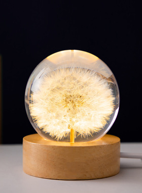 蒲公英水晶球小夜灯3D内雕发光实木底座氛围灯高级感水晶礼物摆件