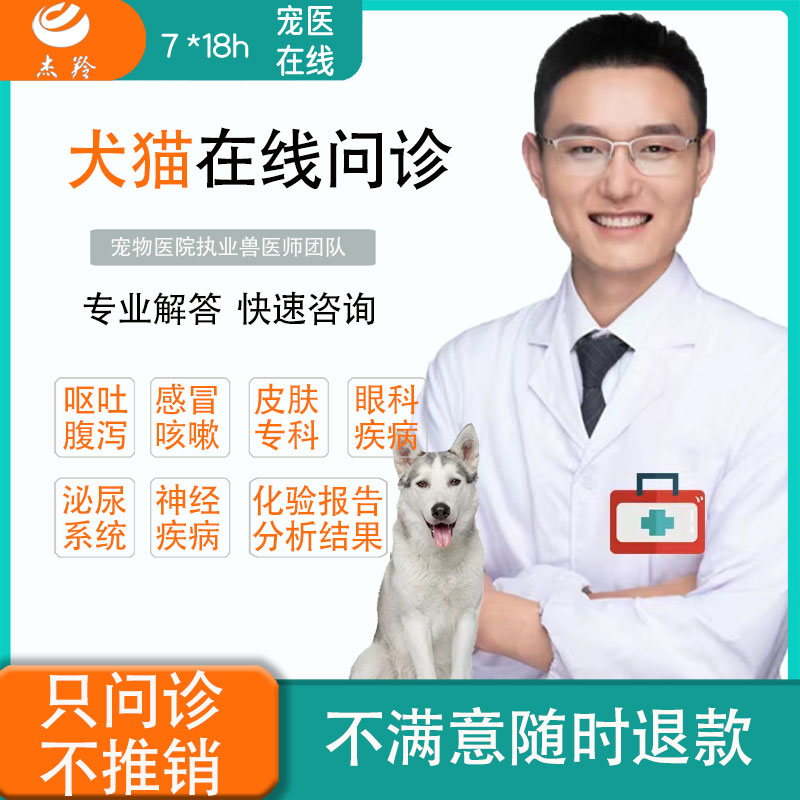 宠物医生问诊在线上咨询犬猫咪狗狗诊所生看病医院药店兽医24小时 - 图0