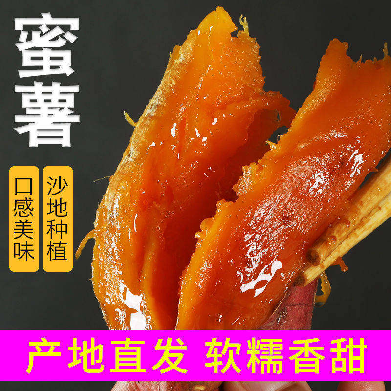 新鲜蜜薯糖心烟薯小香薯西瓜红薯 鲜正宫番薯