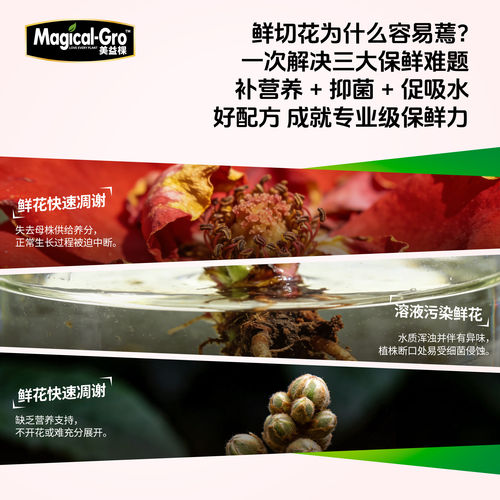 美益棵鲜花保鲜剂家用月季百合通用花卉插花营养液鲜切花延长剂 - 图2