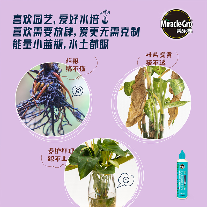 美乐棵水培植物浓缩营养液通用型气压式水培植物肥料营养水-图1