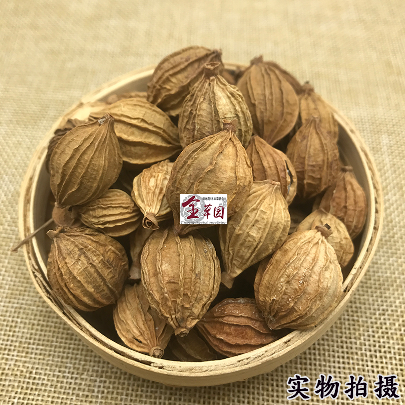 香砂仁500克包邮正品香砂沙仁卤菜火锅香料调料无硫干货 - 图0