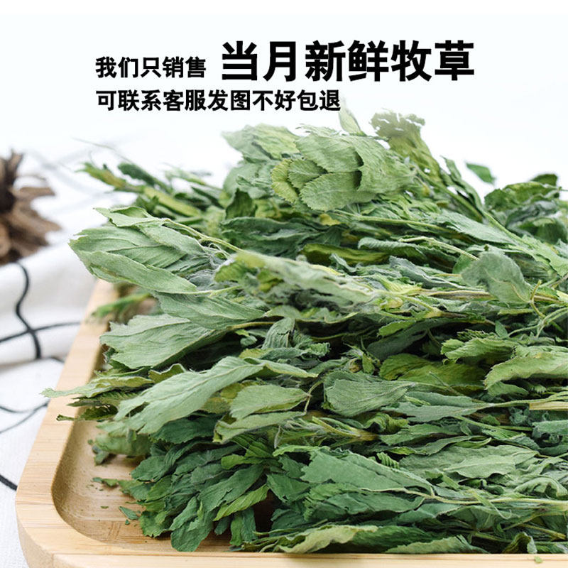 烘干苜蓿草幼兔兔粮兔子草兔饲料细杆叶多龙猫豚鼠仓鼠苜蓿草干草,淘宝优惠券,粉丝福利购,淘宝优惠卷