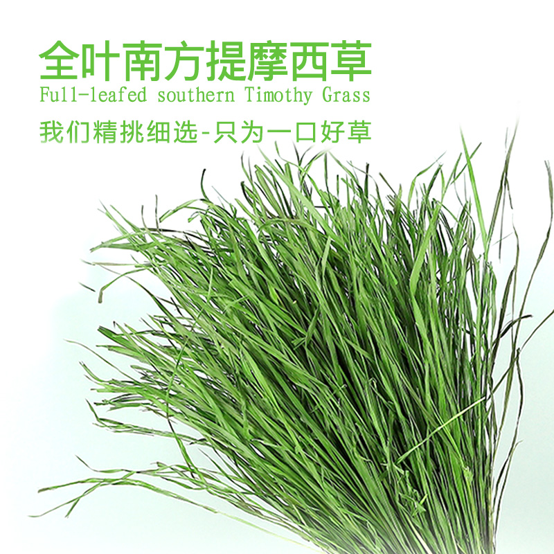 幼兔兔成年粮草草天然提摩西烘干全叶叶南提多绿龙猫豚鼠仓鼠磨牙 - 图2