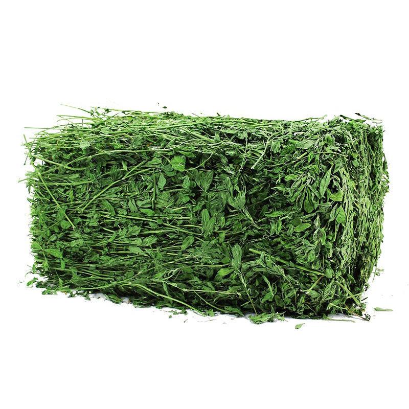 烘干苜蓿草幼兔兔粮兔子草兔饲料细杆叶多龙猫豚鼠仓鼠苜蓿草干草,淘宝优惠券,粉丝福利购,淘宝优惠卷