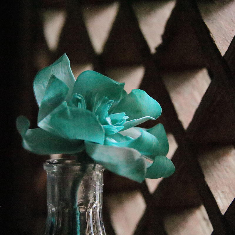 节气盒子东方香系列牡丹花火扩香通草花小众家用持久香